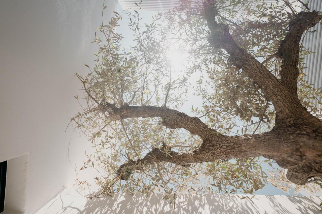 Cubic Mykonos Seafront Design Suites 오르노스 외부 사진
